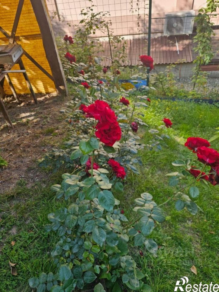 Коттедж/дом городской округ Сочи