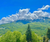 3-комн, 66кв м, этаж 4/5 ул Защитников Кавказа, 132