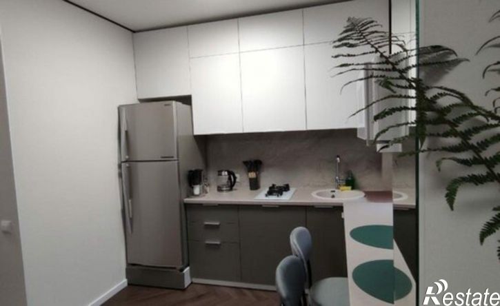 1-комн квартира ул Роз, 46,  д. 46