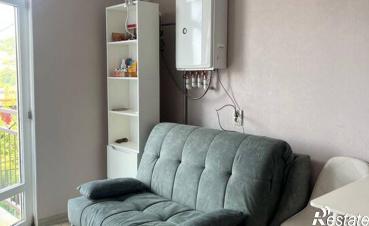 1-комн квартира ул Тимирязева, 25,  д. 25