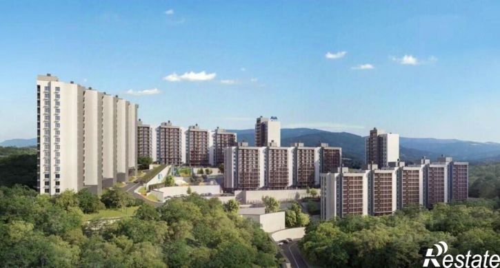2-комн квартира в новом доме Раздольное с., Хостинский