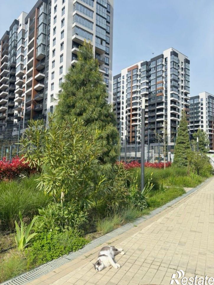 1-комн квартира улица Искры, 66/9 к1,  д. 66/9 к1