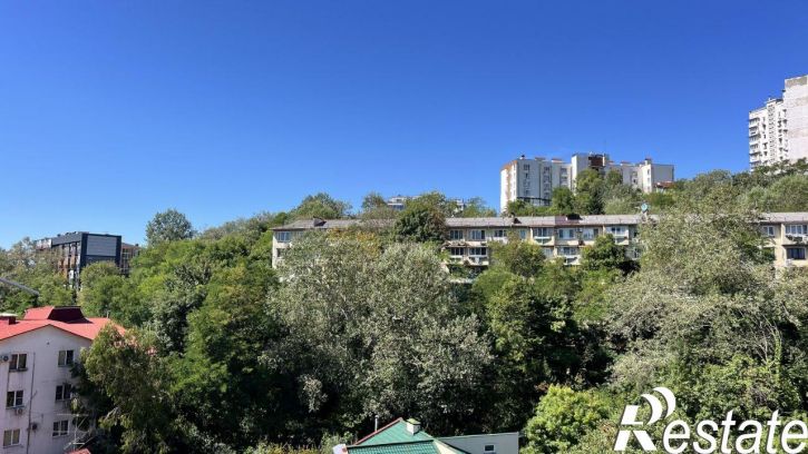 2-комн квартира Клубничная улица, 110,  д. 110