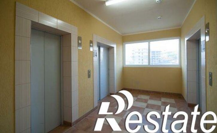 3-комн квартира улица Яна Фабрициуса, 2/4Б,  д. 2/4Б