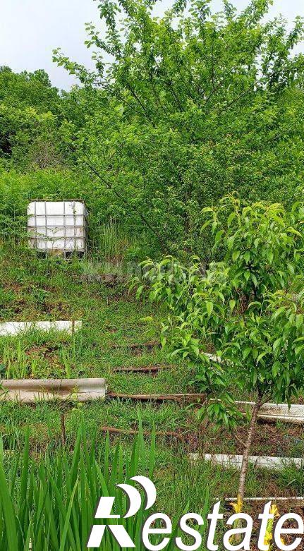 Купить землю, земельный участок за 5 900 000 рублей на село Измайловка