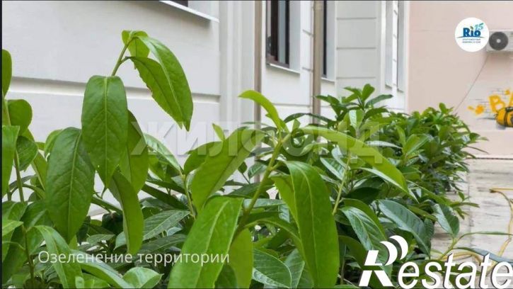 Студия Лысая гора улица, д.33/1