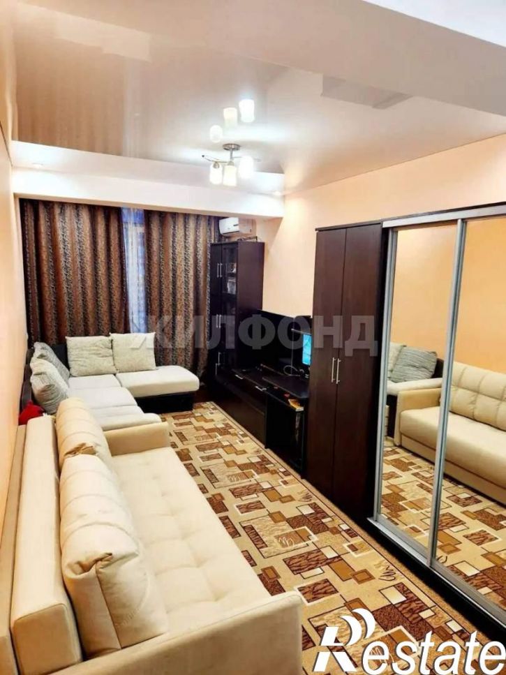 Студия Пасечная улица, д.45Г/1