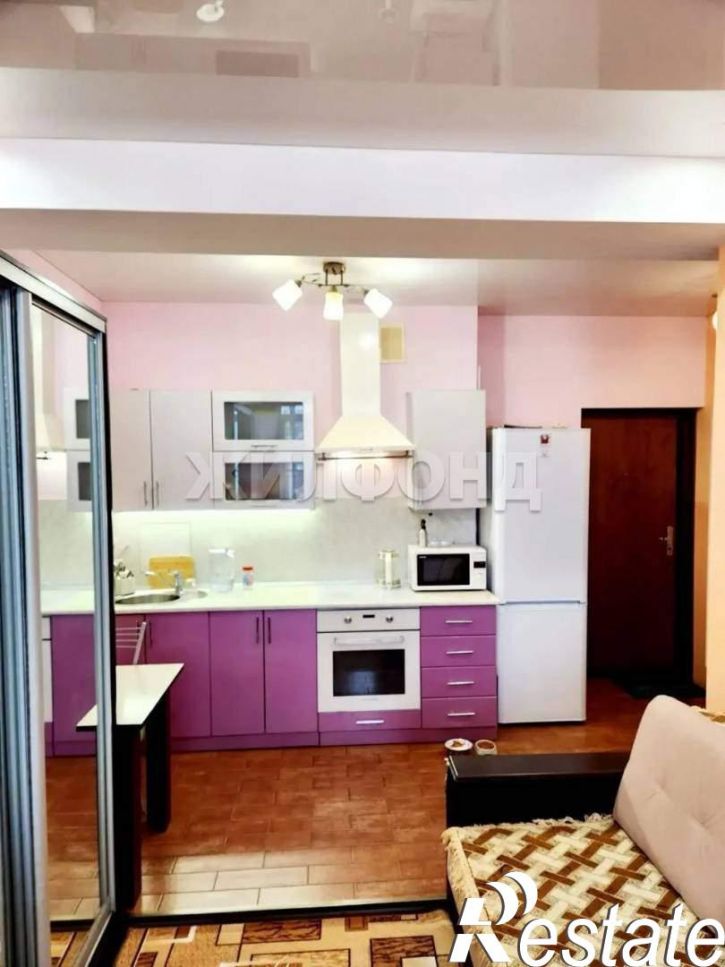 Студия Пасечная улица, д.45Г/1